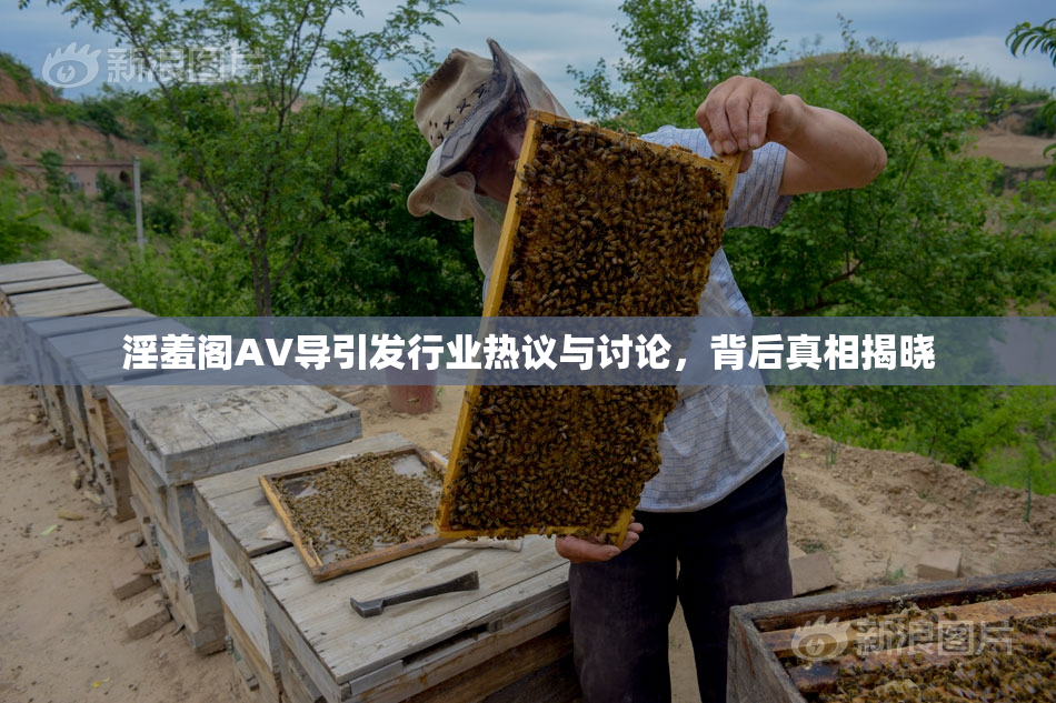 淫羞阁AV导引发行业热议与讨论，背后真相揭晓