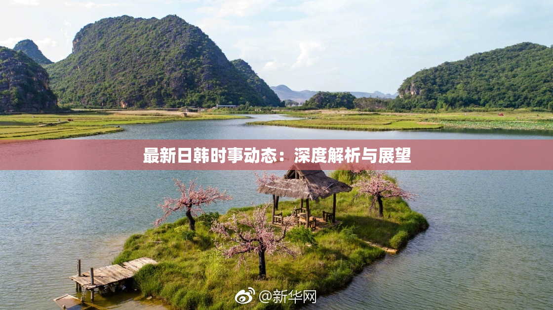 最新日韩时事动态：深度解析与展望