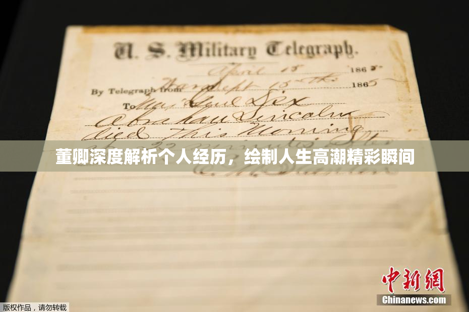 董卿深度解析个人经历，绘制人生高潮精彩瞬间