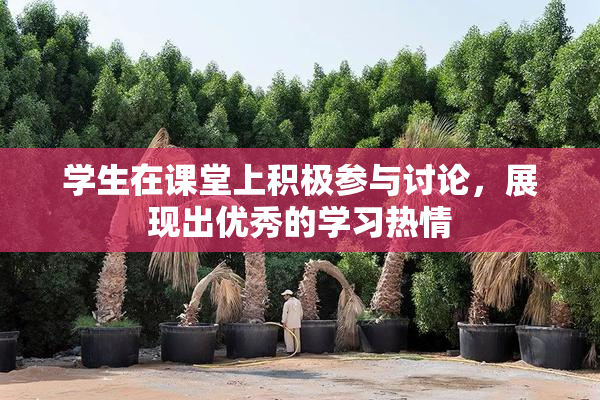 学生在课堂上积极参与讨论，展现出优秀的学习热情