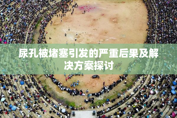 尿孔被堵塞引发的严重后果及解决方案探讨
