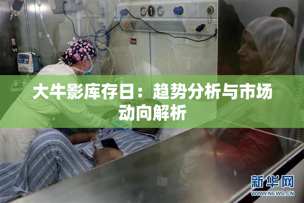 大牛影库存日：趋势分析与市场动向解析