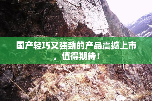 国产轻巧又强劲的产品震撼上市，值得期待！