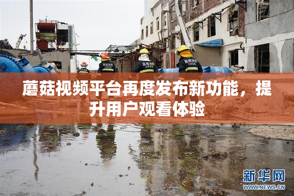蘑菇视频平台再度发布新功能，提升用户观看体验