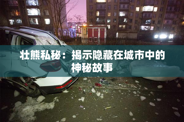 壮熊私秘：揭示隐藏在城市中的神秘故事