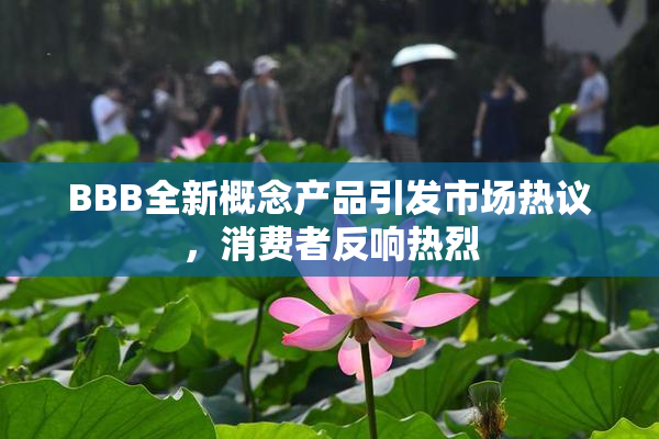 BBB全新概念产品引发市场热议，消费者反响热烈