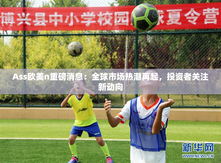 Ass欧美n重磅消息：全球市场热潮再起，投资者关注新动向