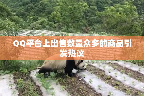 QQ平台上出售数量众多的商品引发热议
