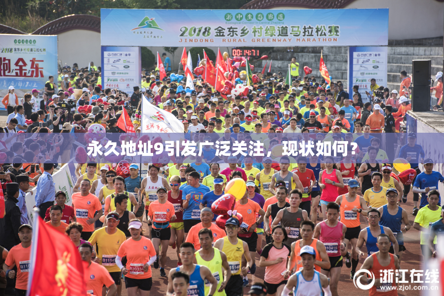 永久地址9引发广泛关注，现状如何？