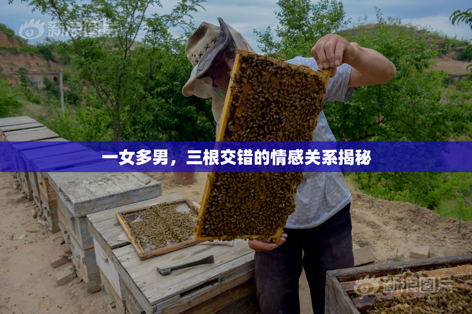 一女多男，三根交错的情感关系揭秘