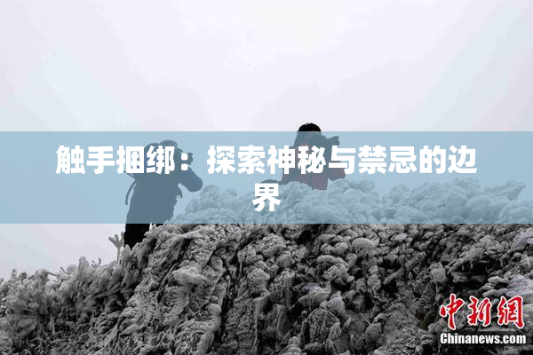 触手捆绑：探索神秘与禁忌的边界