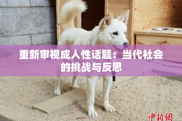重新审视成人性话题：当代社会的挑战与反思