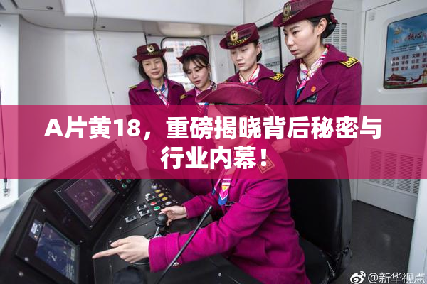 A片黄18，重磅揭晓背后秘密与行业内幕！