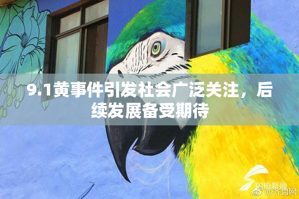 9.1黄事件引发社会广泛关注，后续发展备受期待
