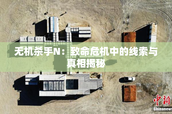 无机杀手N：致命危机中的线索与真相揭秘