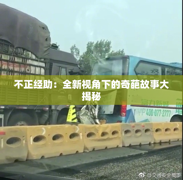 不正经助：全新视角下的奇葩故事大揭秘