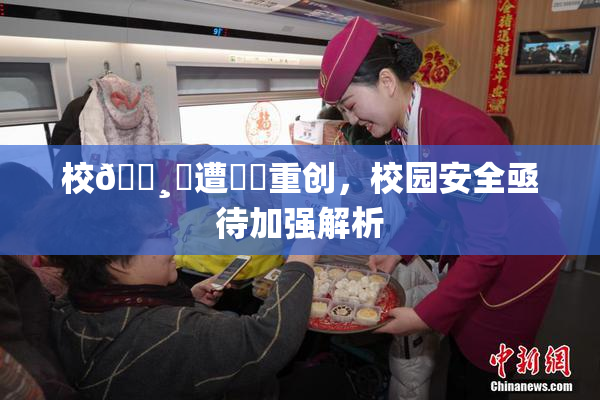 校🌸‌遭❌‌重创，校园安全亟待加强解析