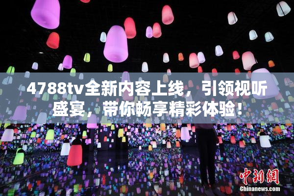 4788tv全新内容上线，引领视听盛宴，带你畅享精彩体验！