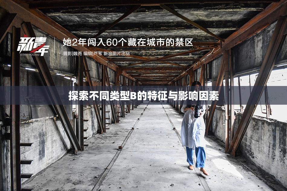 探索不同类型B的特征与影响因素