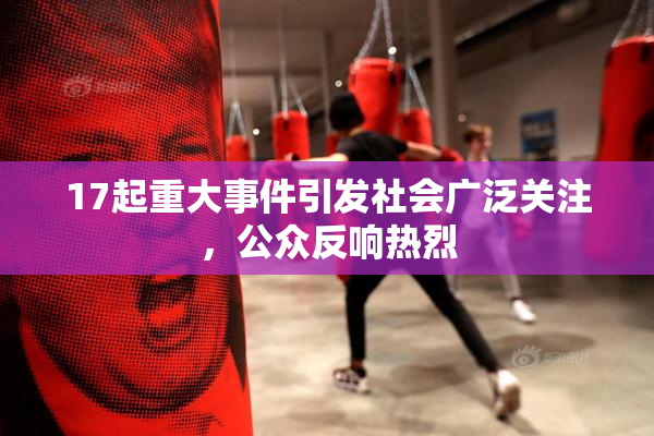 17起重大事件引发社会广泛关注，公众反响热烈
