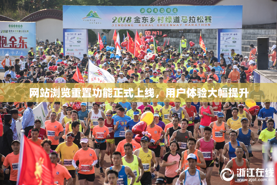 网站浏览重置功能正式上线，用户体验大幅提升