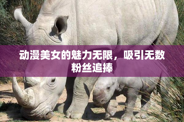 动漫美女的魅力无限，吸引无数粉丝追捧