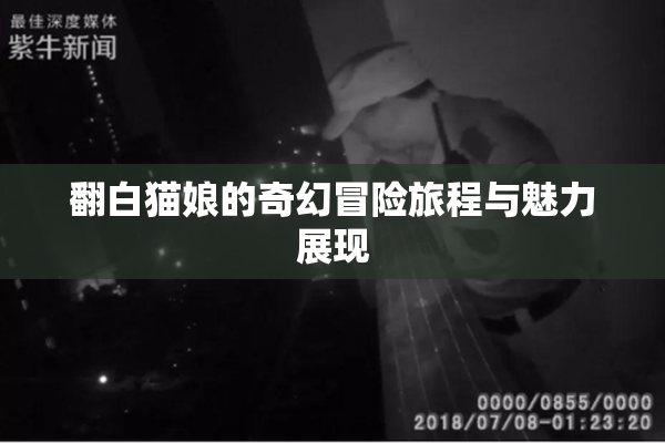 翻白猫娘的奇幻冒险旅程与魅力展现