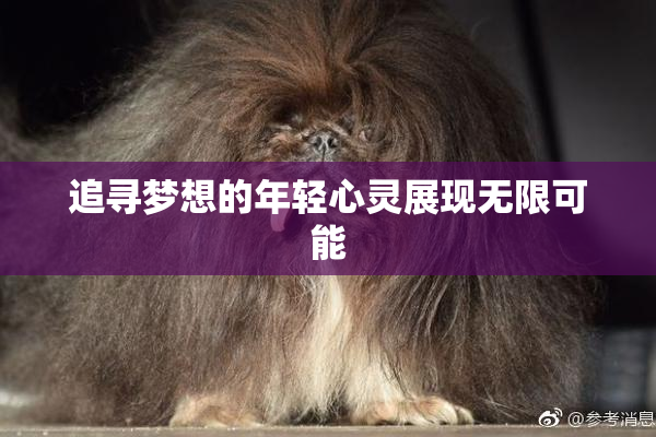 追寻梦想的年轻心灵展现无限可能