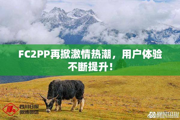FC2PP再掀激情热潮，用户体验不断提升！