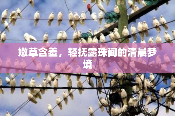 嫩草含羞，轻抚露珠间的清晨梦境