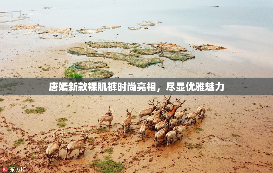 唐嫣新款裸肌裤时尚亮相，尽显优雅魅力
