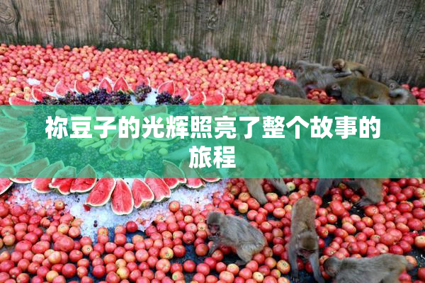 祢豆子的光辉照亮了整个故事的旅程