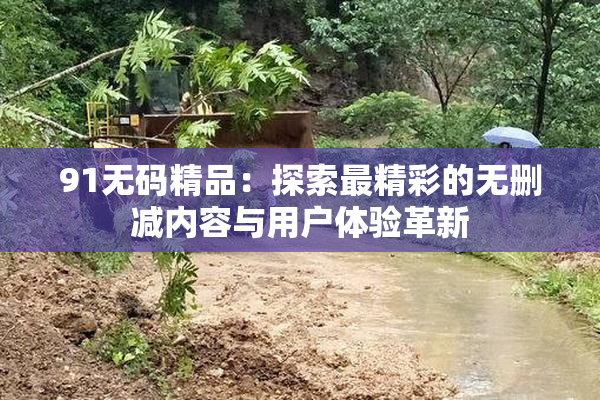 91无码精品：探索最精彩的无删减内容与用户体验革新