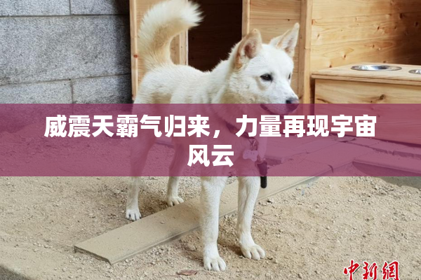 威震天霸气归来，力量再现宇宙风云