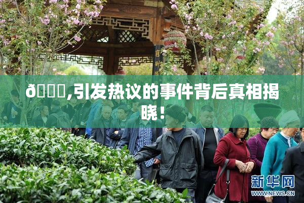 🈚,引发热议的事件背后真相揭晓！
