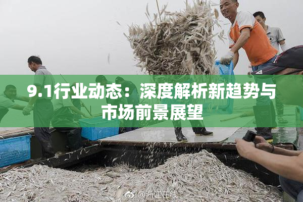9.1行业动态：深度解析新趋势与市场前景展望