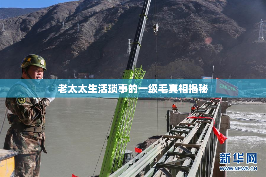 老太太生活琐事的一级毛真相揭秘