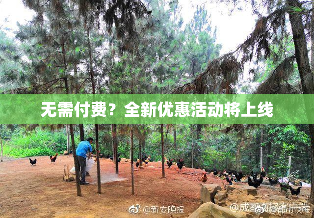 无需付费？全新优惠活动将上线