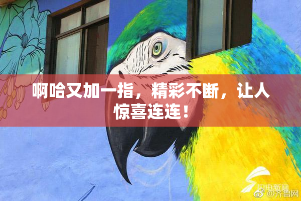 啊哈又加一指，精彩不断，让人惊喜连连！