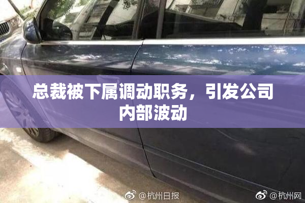总裁被下属调动职务，引发公司内部波动