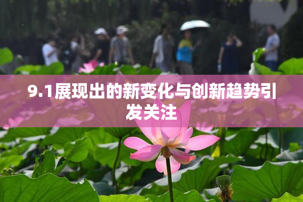 9.1展现出的新变化与创新趋势引发关注