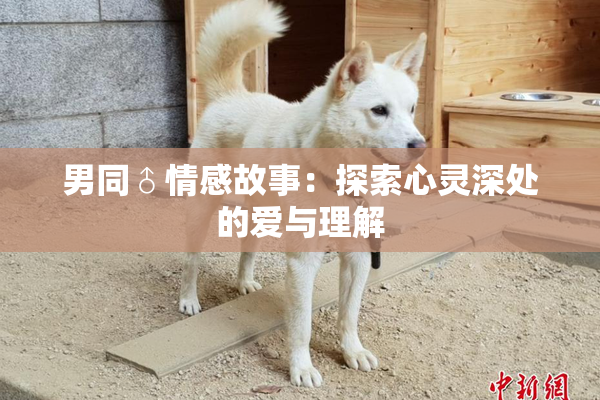 男同♂情感故事：探索心灵深处的爱与理解