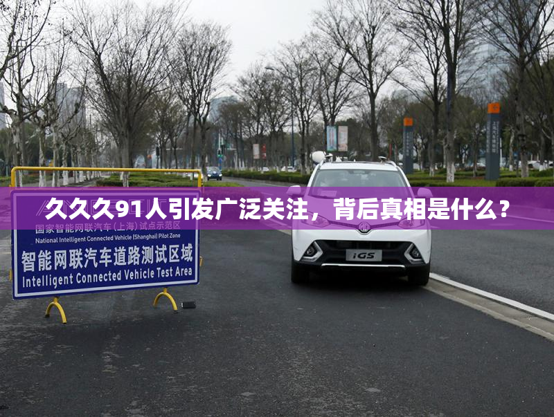 久久久91人引发广泛关注，背后真相是什么？