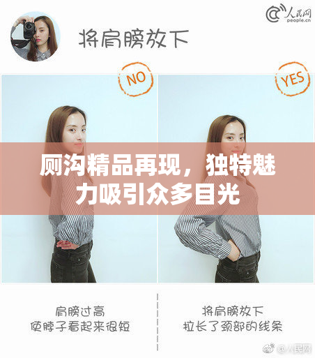 厕沟精品再现，独特魅力吸引众多目光