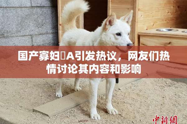 国产寡妇婬A引发热议，网友们热情讨论其内容和影响