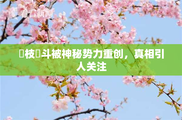 狛枝凪斗被神秘势力重创，真相引人关注
