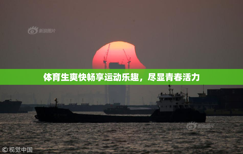体育生爽快畅享运动乐趣，尽显青春活力