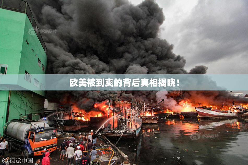 欧美被到爽的背后真相揭晓！