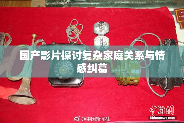 国产影片探讨复杂家庭关系与情感纠葛