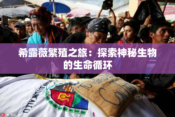 希露薇繁殖之旅：探索神秘生物的生命循环